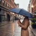 Miniature du produit Parapluie pliable fabrication européenne 5