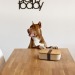 BOXYP lunch box, Lunch box et boîte déjeuner publicitaire