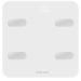 Appareils de mesure de masse corporelle