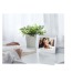 Cadre photo numérique 10 Prixton Prado Frameo avec Wi-Fi cadeau d’entreprise