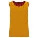 Chasuble réversible multisports enfant - Proact cadeau d’entreprise