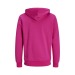 Sweat à capuche coton bio 300g, textile divers écologique, recyclé, durable ou bio publicitaire