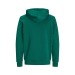 Sweat à capuche coton bio 300g, textile divers écologique, recyclé, durable ou bio publicitaire