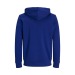 Sweat à capuche coton bio 300g, textile divers écologique, recyclé, durable ou bio publicitaire