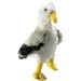 Peluche goéland - MBW, peluche publicitaire