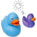 Canard Magique - MBW, canard publicitaire