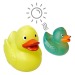 Canard Magique - MBW cadeau d’entreprise