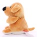 Peluche chien - MBW cadeau d’entreprise