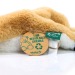 Miniature du produit Peluche renard - MBW 4