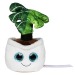 Peluche monstera cadeau d’entreprise