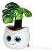 Peluche monstera cadeau d’entreprise