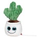 Peluche cactus cadeau d’entreprise