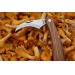 Couteau à champignon cadeau d’entreprise