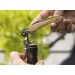 Sommelier 'Ottawa', double levier, olivier cadeau d’entreprise