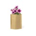 Pot de fleurs - Pétunia, Sachet de graine publicitaire