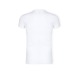 T-shirt Adulte Blanc - Iconic, Textile Fruit of the Loom publicitaire