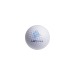 Balle de golf 2 couches standard cadeau d’entreprise