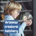 Jurassic Pets Kit I. Jeu éducatif pour enfants cadeau d’entreprise