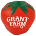Fraise anti-stress cadeau d’entreprise