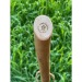 CleanWalk Walkingstick bâton de marche, bâton de marche publicitaire