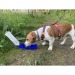 Bouteille pour chien 500 ml, accessoire pour chiens et chats publicitaire