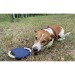 Le frisbee pour chien cadeau d’entreprise