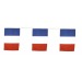 Guirlande drapeaux tricolore 10M cadeau d’entreprise