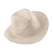 Chapeau en papier, Chapeau publicitaire