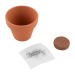 Pot plante basilic cadeau d’entreprise