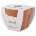 Pot plante basilic, Plante publicitaire