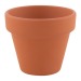 Pot plante basilic cadeau d’entreprise