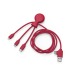 Mr Bio Long - Câble d'1M avec une double entrée type C/USB, câble de chargement publicitaire