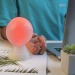 Mr Bio Lamp - La lampe intelligente cadeau d’entreprise