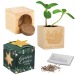 Pot cube bois Maxi en boite star-box - Mélange de fleurs d'été cadeau d’entreprise