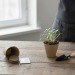 Kit de culture - Bulbes de trèfle à 4 feuilles, trèfle à 4 feuilles publicitaire