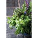 Mini-tonneau en bois - Mélange d'herbes aromatiques, tonneau publicitaire