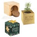Pot cube bois Maxi de Noël en boite star-box - Epicéa cadeau d’entreprise
