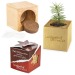 Pot cube bois mini avec graines d'épicéa en boite Star-Box - Epicéa cadeau d’entreprise