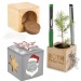 Pot cube boisde bureau en boite star-box - Epicéa cadeau d’entreprise