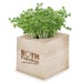 Cube à planter 2.0 - Bulbes de trèfle à 4 feuilles, trèfle à 4 feuilles publicitaire