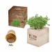 Cube à planter 2.0 - Bulbes de trèfle à 4 feuilles, trèfle à 4 feuilles publicitaire