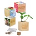 Pot cube - Bulbes de trèfle à 4 feuilles cadeau d’entreprise