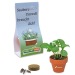 Mini pot terre cuite sous pochette - Bulbes de trèfle à 4 feuilles, trèfle à 4 feuilles publicitaire