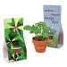 Mini pot terre cuite sous pochette - Bulbes de trèfle à 4 feuilles cadeau d’entreprise