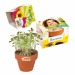 Mini pot terre cuite, fourreau complet- Bulbes de trèfle à 4 feuilles cadeau d’entreprise