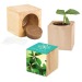 Pot cube bois maxi - Bulbes de trèfle à 4 feuilles cadeau d’entreprise