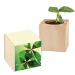 Pot cube - Bulbes de trèfle à 4 feuilles cadeau d’entreprise