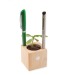 Pot cube bois de bureau de Noël - Epicéa - Epicéa cadeau d’entreprise