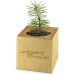 Pot cube bois Maxi de Noël - Epicéa - Epicéa cadeau d’entreprise
