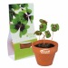 Mini pot en terre cuite sous pochette - Four-leaf clover cadeau d’entreprise